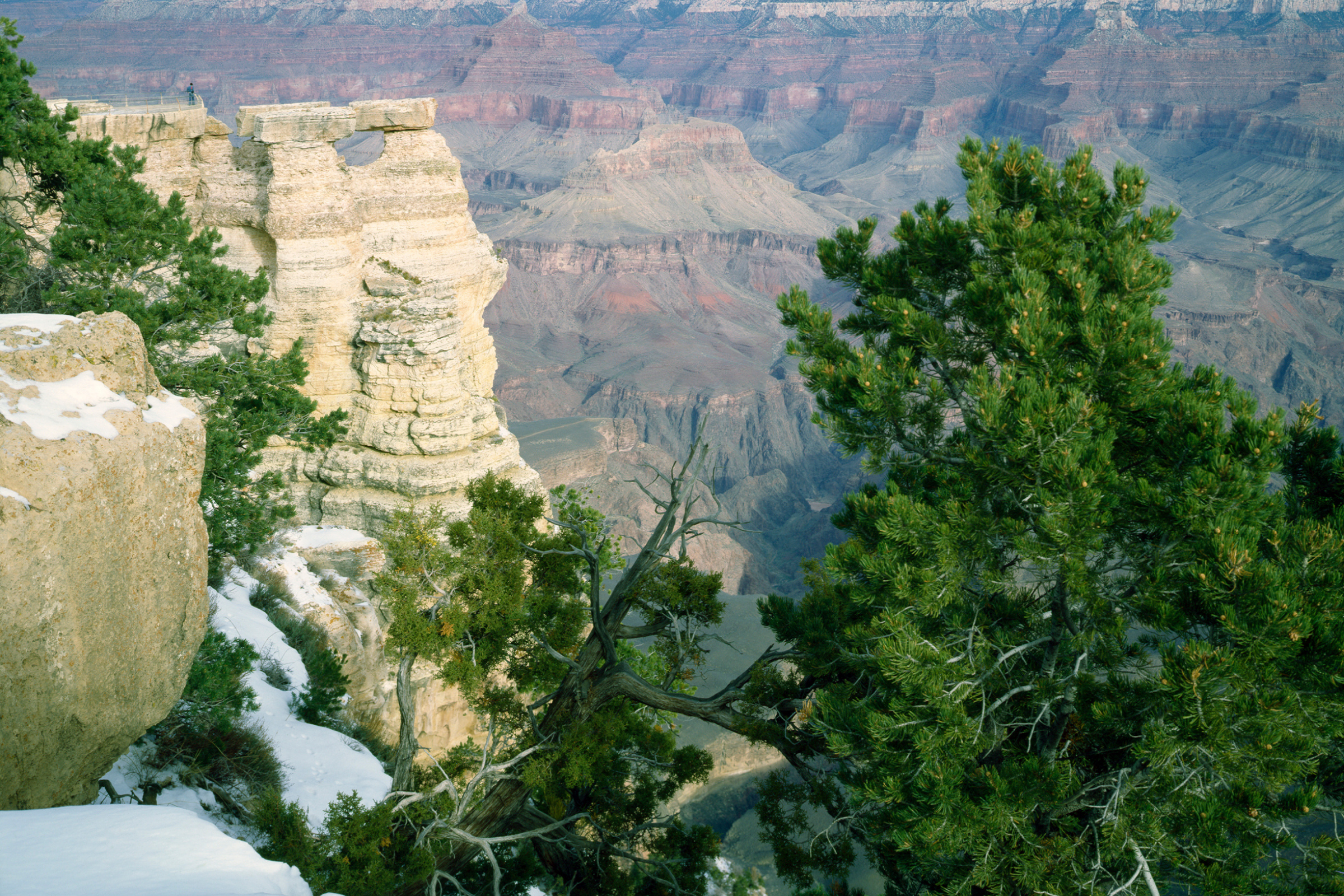 grand canyon, arizona (3).webp